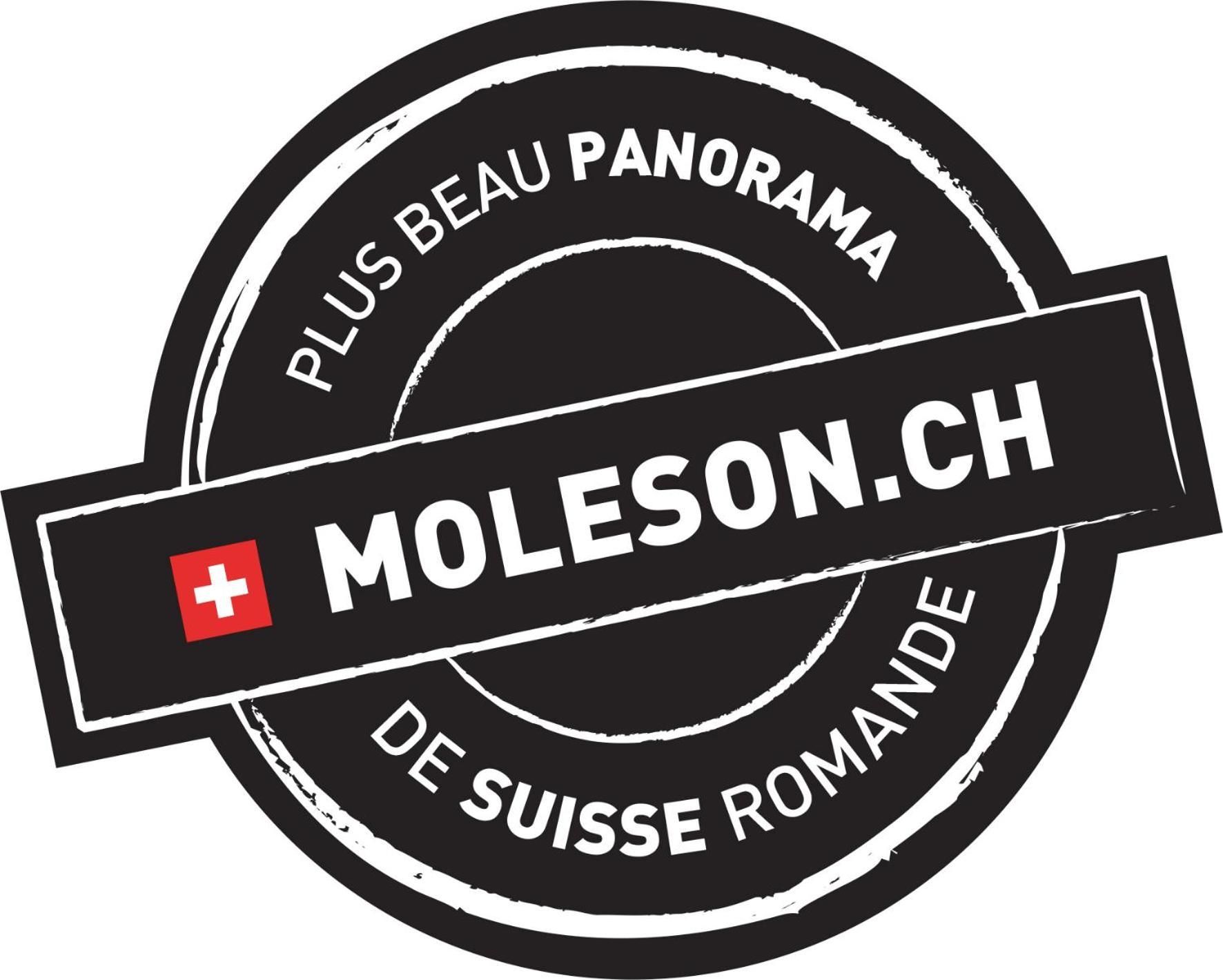 La Pierre A Catillon Moleson Exterior photo